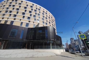 Ammonit - офисное помещение